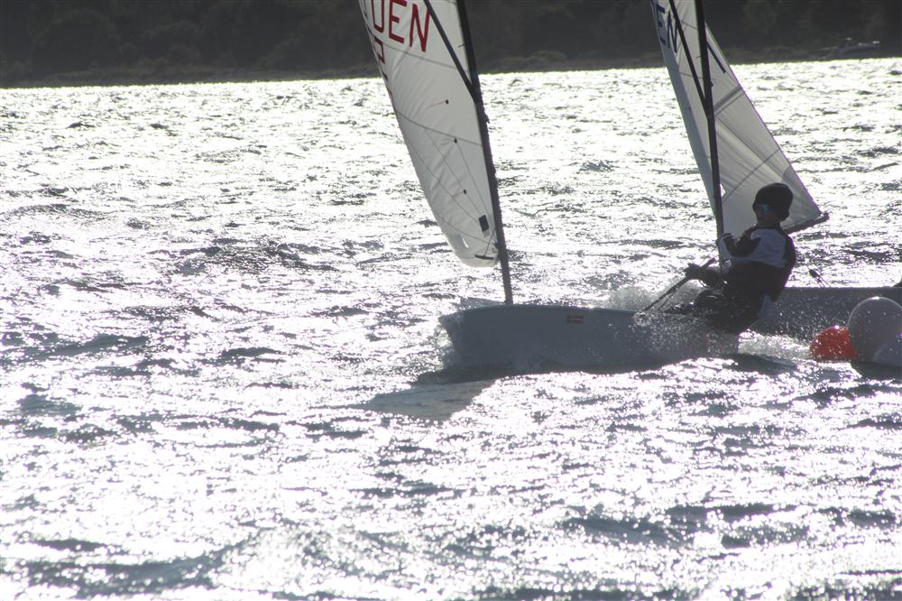 Vis 20111008 131647.jpg i fuld st�rrelse